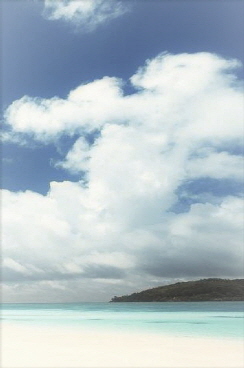 CHS_wallpaper_big (3)